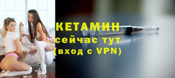 стаф Пересвет