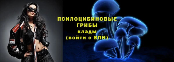 МДПВ Козельск