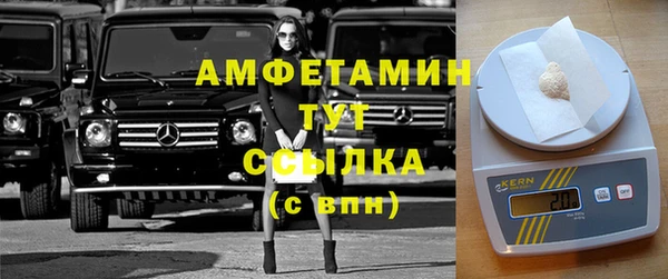 стаф Пересвет